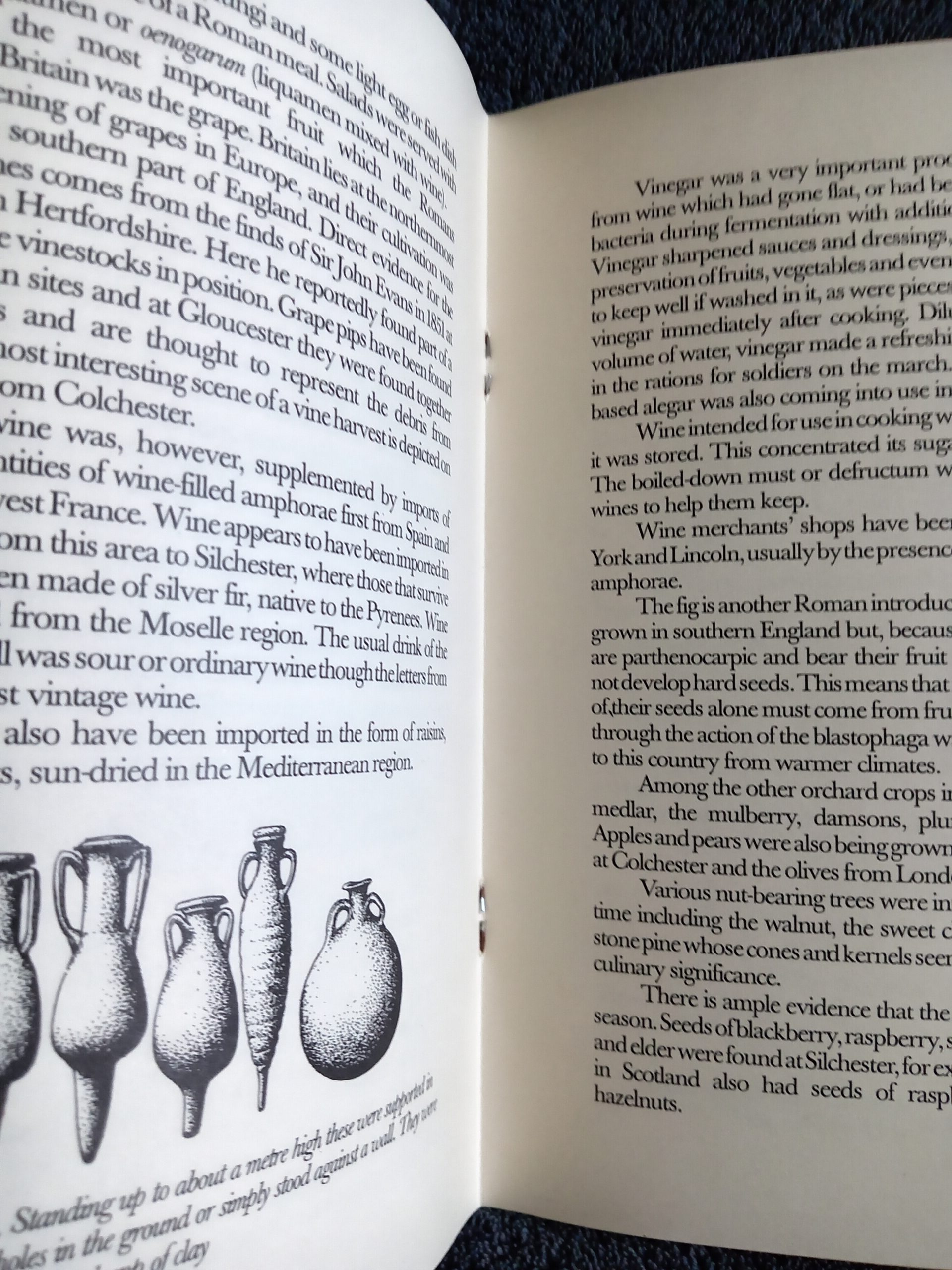 Food and Cooking in Roman Britain History and Recipes: Book by Jane Renfrew - Image 5