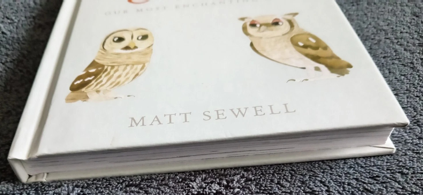 Owls Our Most Enchanting Bird: Book by Matt Sewell - Image 5