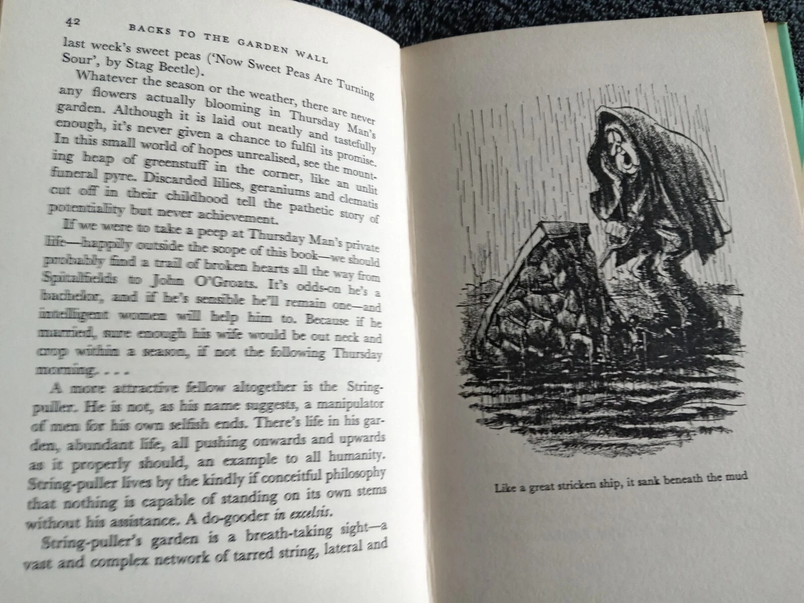 Backs to the Garden Wall: Book by John Lucas with Cartoons by John Jensen - Image 10