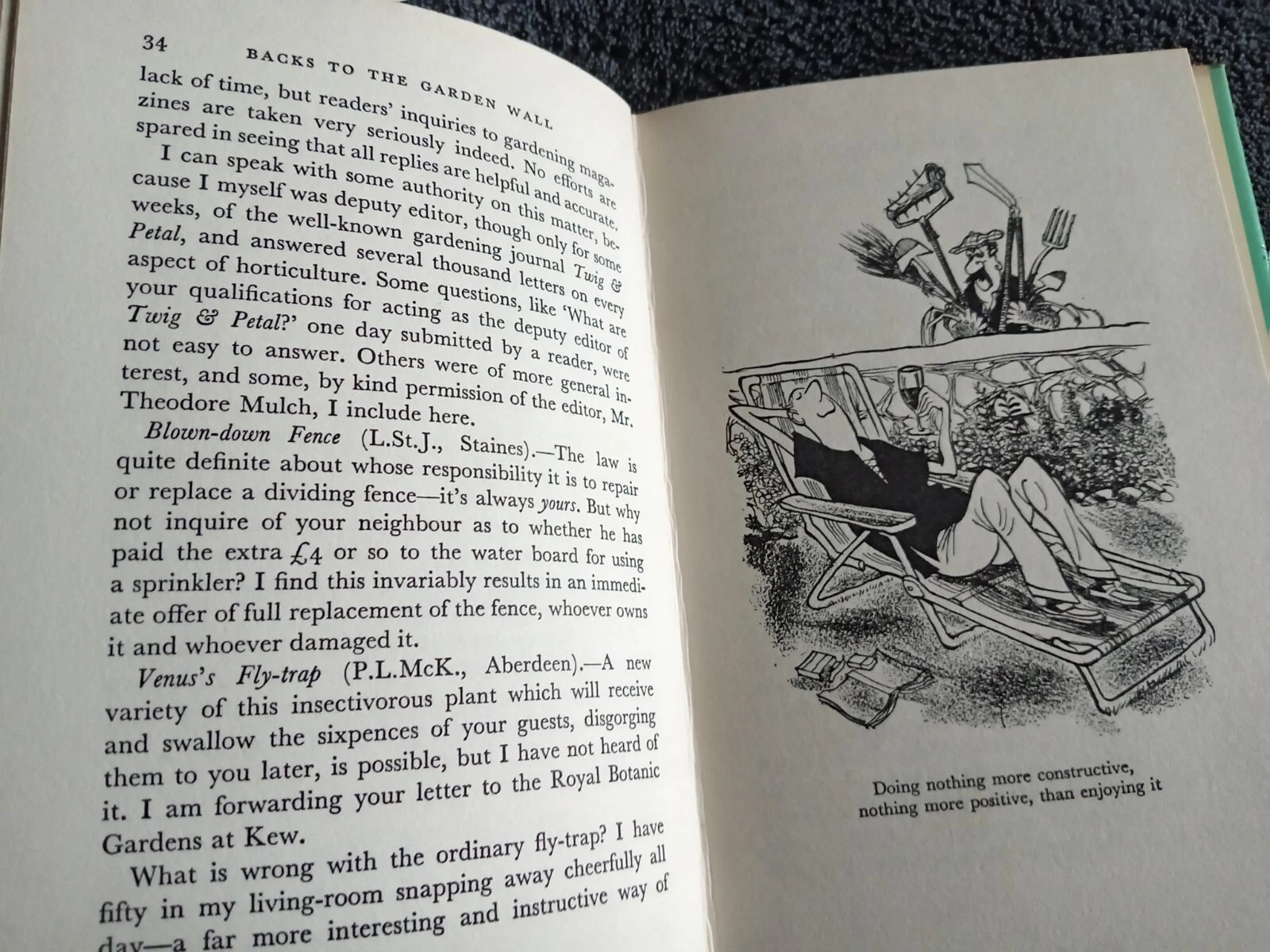 Backs to the Garden Wall: Book by John Lucas with Cartoons by John Jensen - Image 11