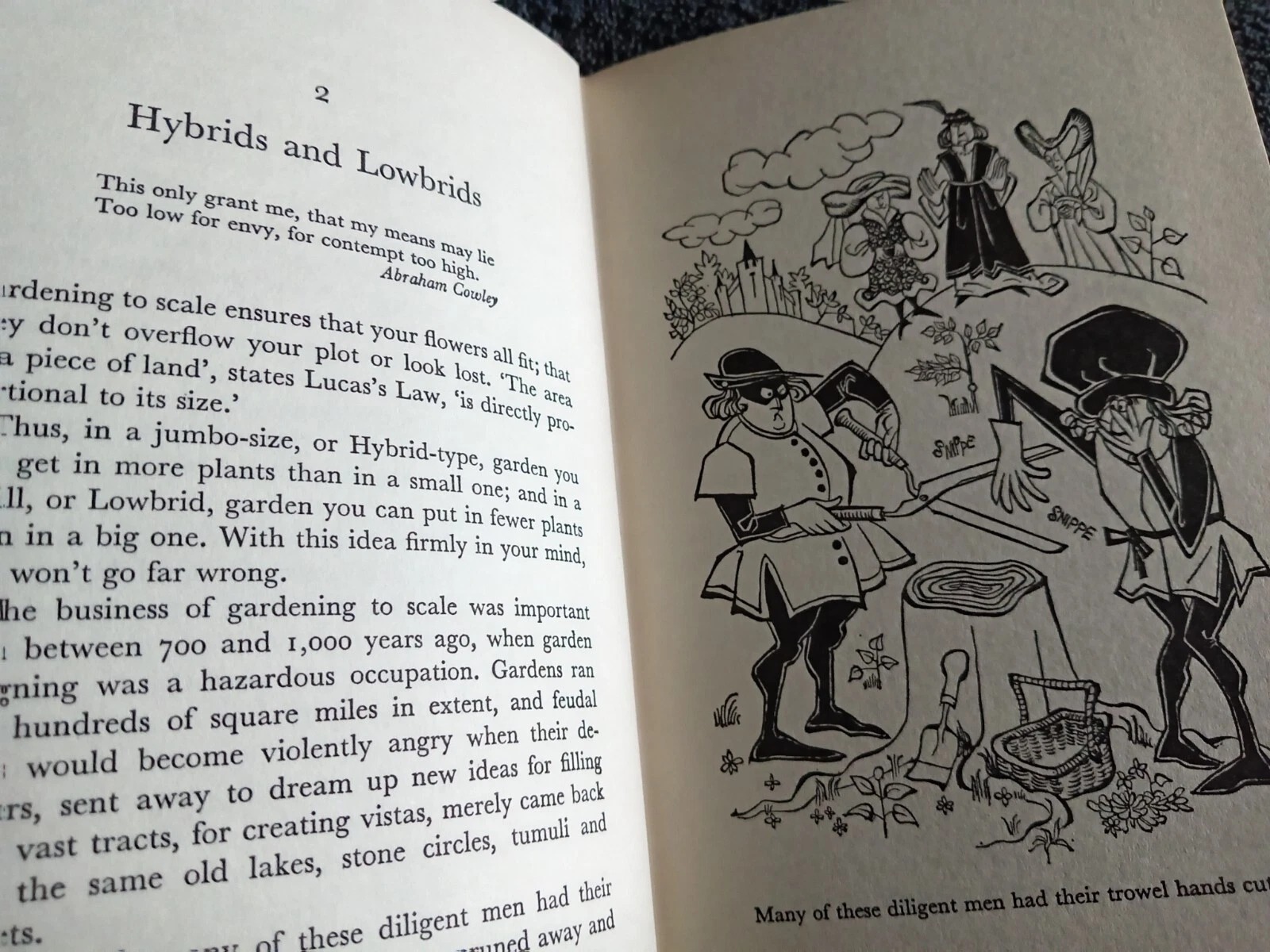 Backs to the Garden Wall: Book by John Lucas with Cartoons by John Jensen - Image 12