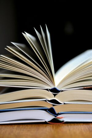 Bargain Reads Under £5