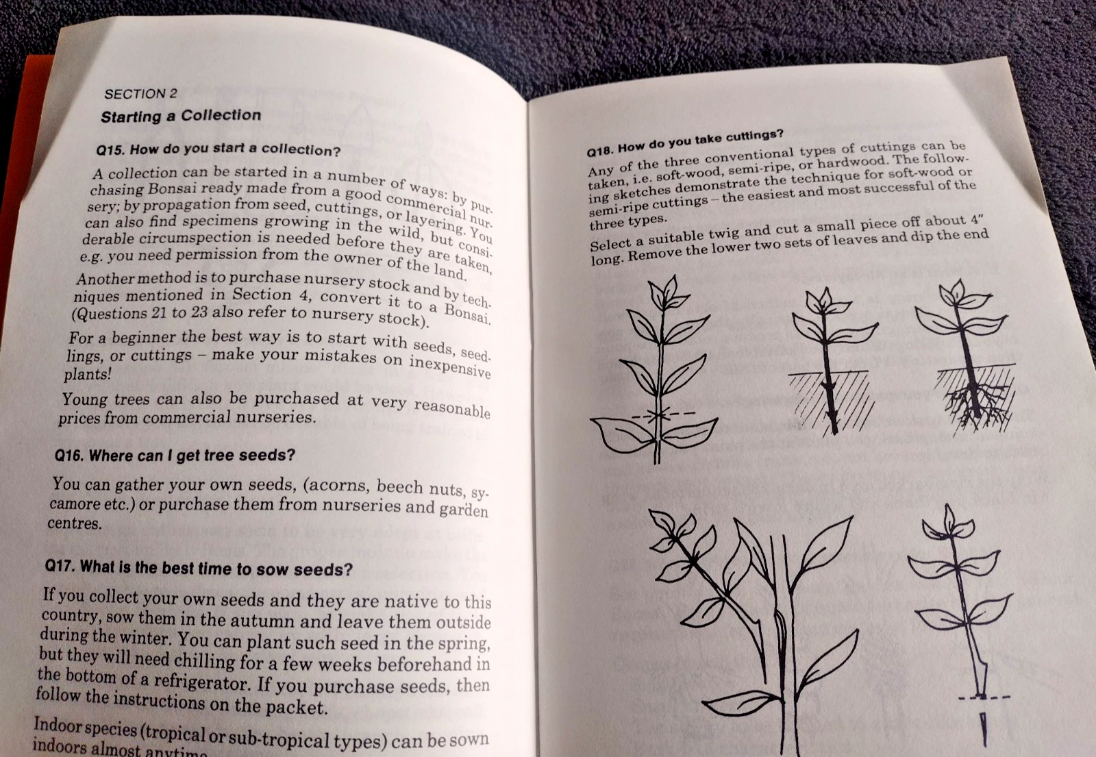 Bonsai The Way & How 101 Questions and Answers Paperback Handbook