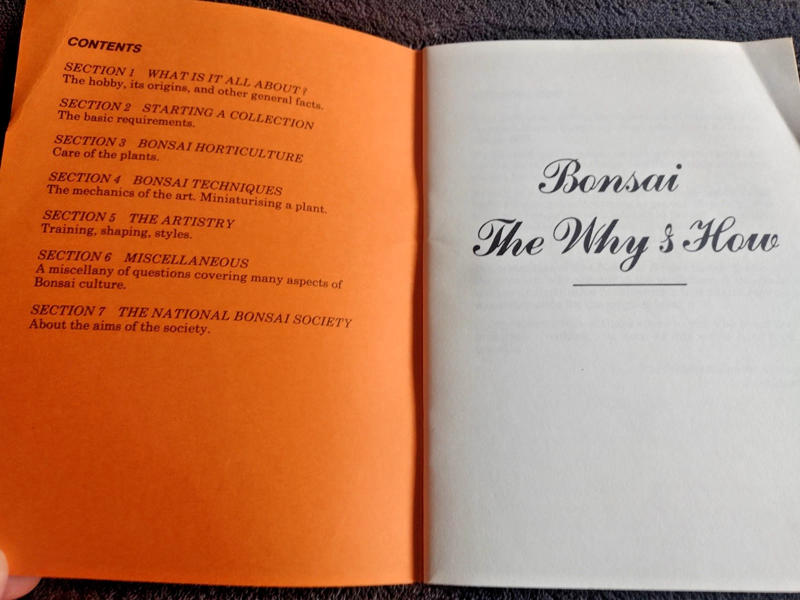 Bonsai The Way & How 101 Questions and Answers Paperback Handbook